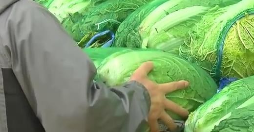 2016-04-01 10;02;44.JPG