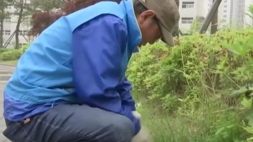 2016-06-03 11;03;58.JPG