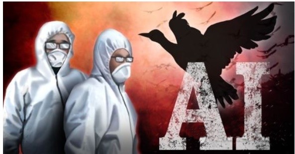 ai.jpg
