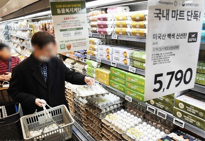 농식품부, 하절기 '농축산물 물가안정' 총력전…美 신선란 긴급 수입·채소 비축 확대