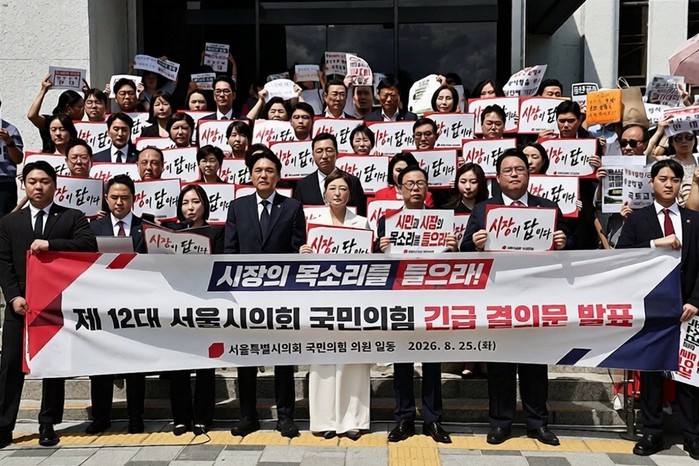 서울시의회 국민의힘, 정부의 부동산 ...